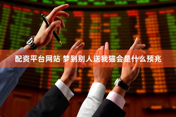 配资平台网站 梦到别人送我猫会是什么预兆